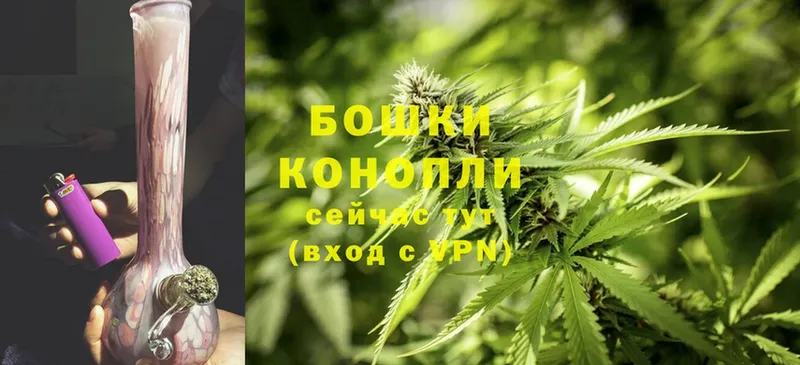 Каннабис White Widow  Ардон 